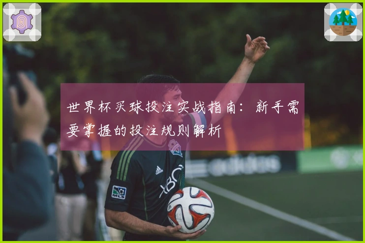 世界杯买球投注实战指南:新手需要掌握的投注规则解析
