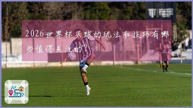 2026世界杯买球的玩法和技巧有哪些值得关注的？