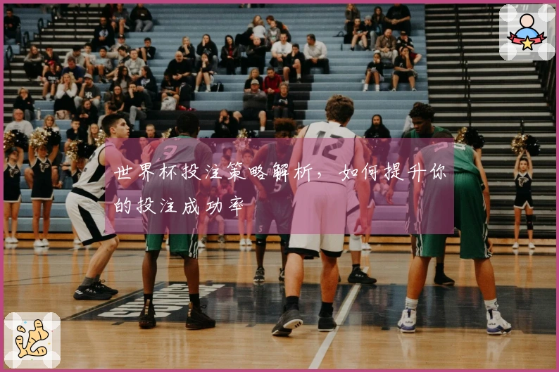 世界杯投注策略解析，如何提升你的投注成功率