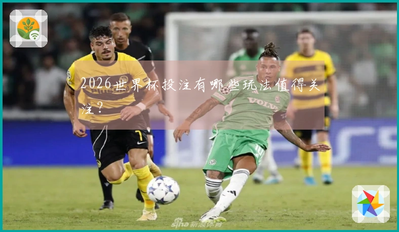 2026世界杯投注有哪些玩法值得关注？