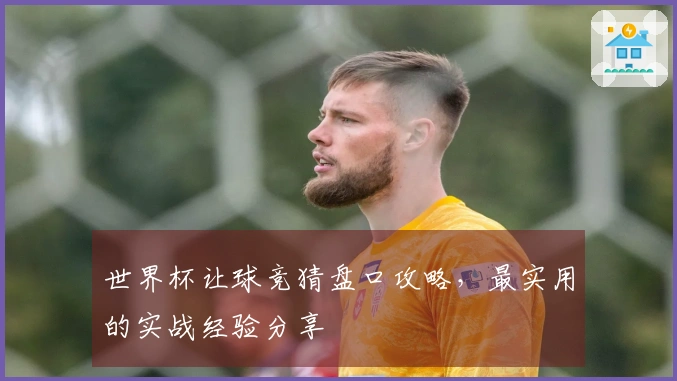 世界杯让球竞猜盘口攻略，最实用的实战经验分享