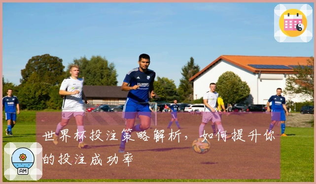世界杯投注策略解析,如何提升你的投注成功率